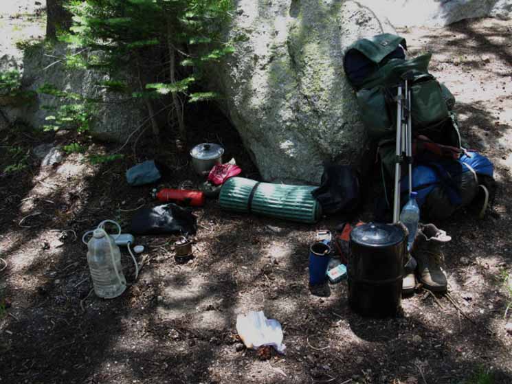 Break and campsite at East Carson River Trail junction.